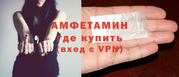 ПСИЛОЦИБИНОВЫЕ ГРИБЫ Каменка