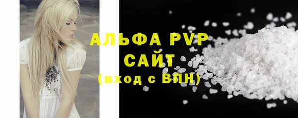 ПСИЛОЦИБИНОВЫЕ ГРИБЫ Каменка