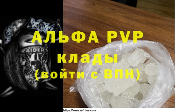 ПСИЛОЦИБИНОВЫЕ ГРИБЫ Каменка