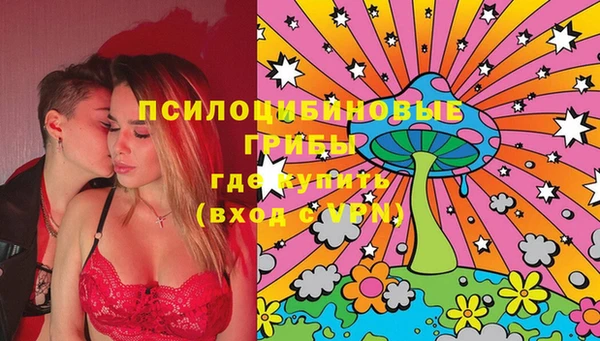 ПСИЛОЦИБИНОВЫЕ ГРИБЫ Каменка