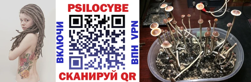 Купить  Луховицы  Галлюциногенные грибы MAGIC MUSHROOMS 